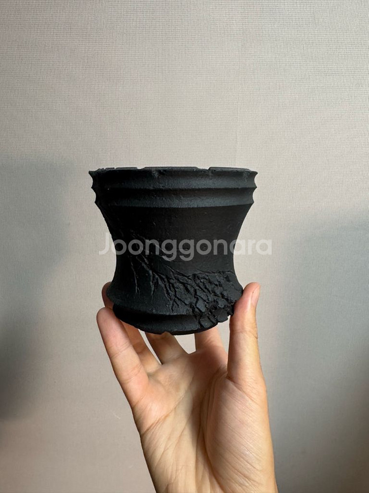 dip 후쿠오카 x ytyf 화분--0