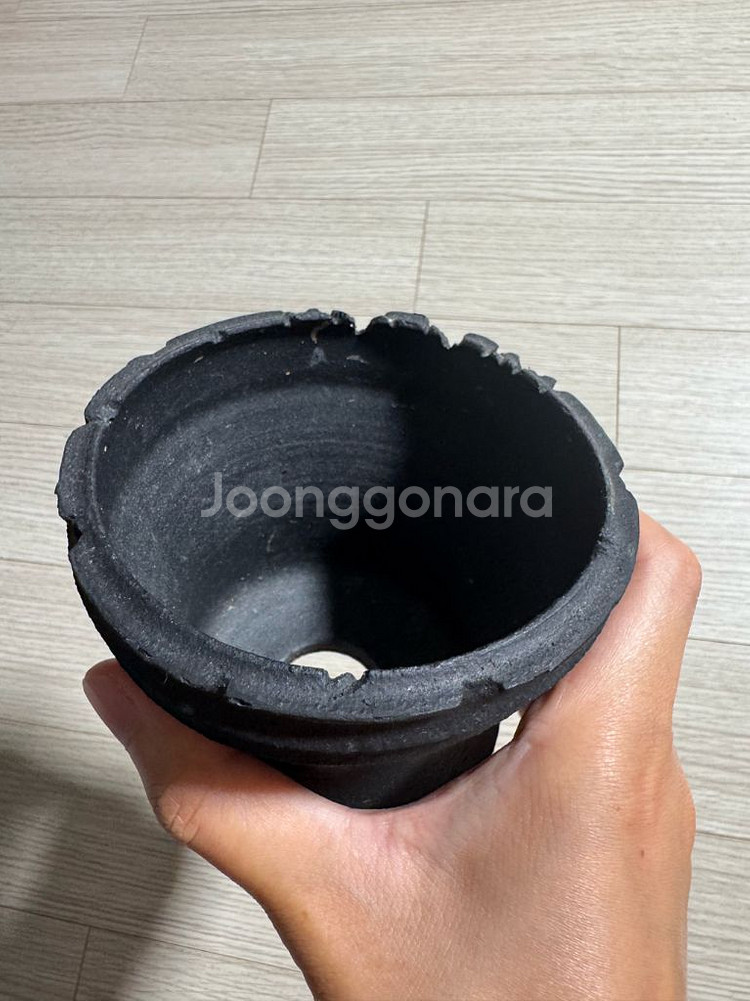 dip 후쿠오카 x ytyf 화분--1