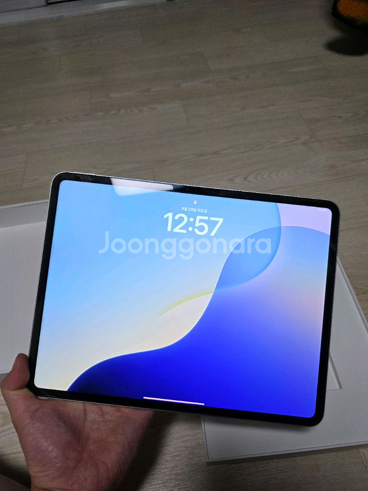 아이패드 프로 M4 13인치 512GB--0
