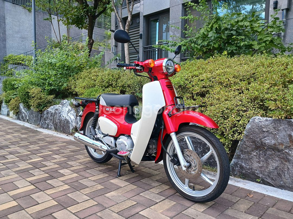 슈퍼커브110 2023년식 14,550km--0