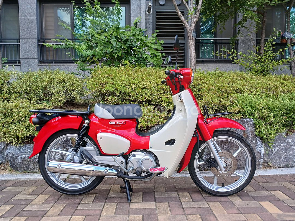 슈퍼커브110 2023년식 14,550km--1