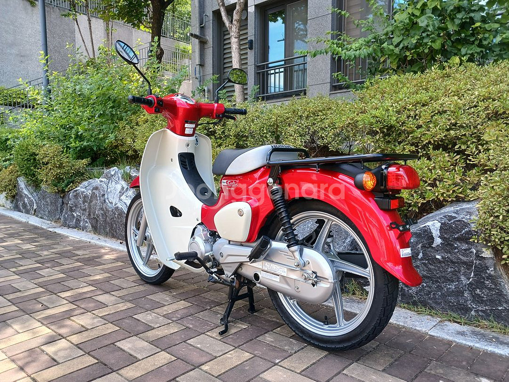 슈퍼커브110 2023년식 14,550km--5