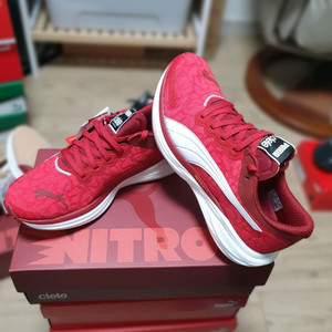 푸마 디비에이트 나이트로 2 씨엘르 러닝화 새상품팝니다