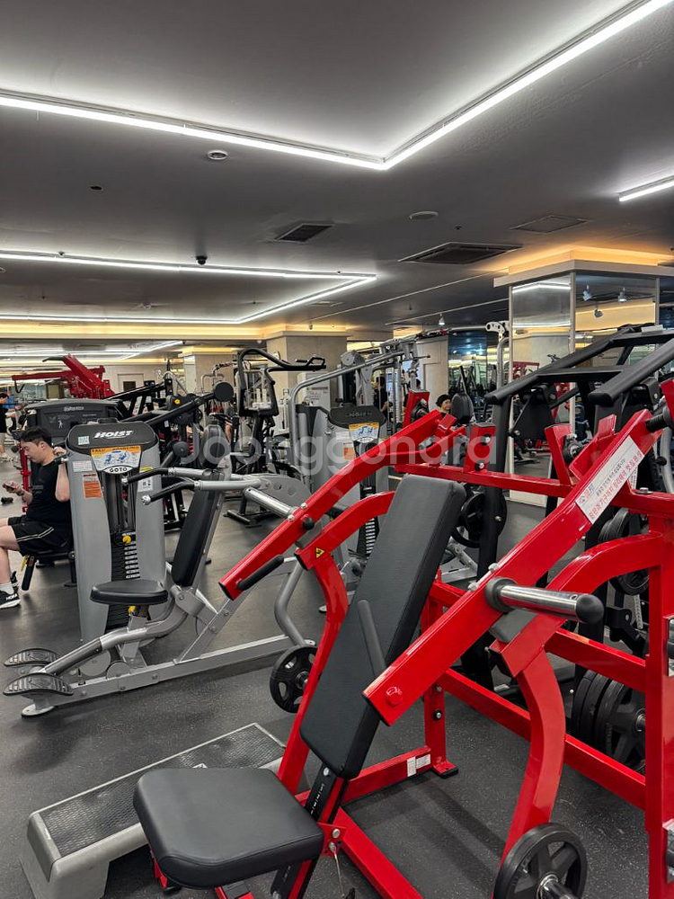 디지피트니스 문래점 PT양도 회원권2개월+15회 급처--0