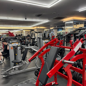 디지피트니스 문래점 PT양도 회원권2개월+15회 급처