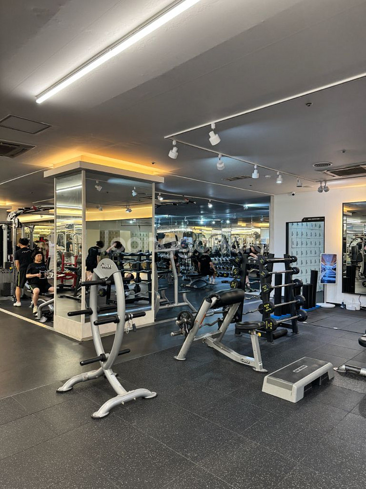 디지피트니스 문래점 PT양도 회원권2개월+15회 급처--1