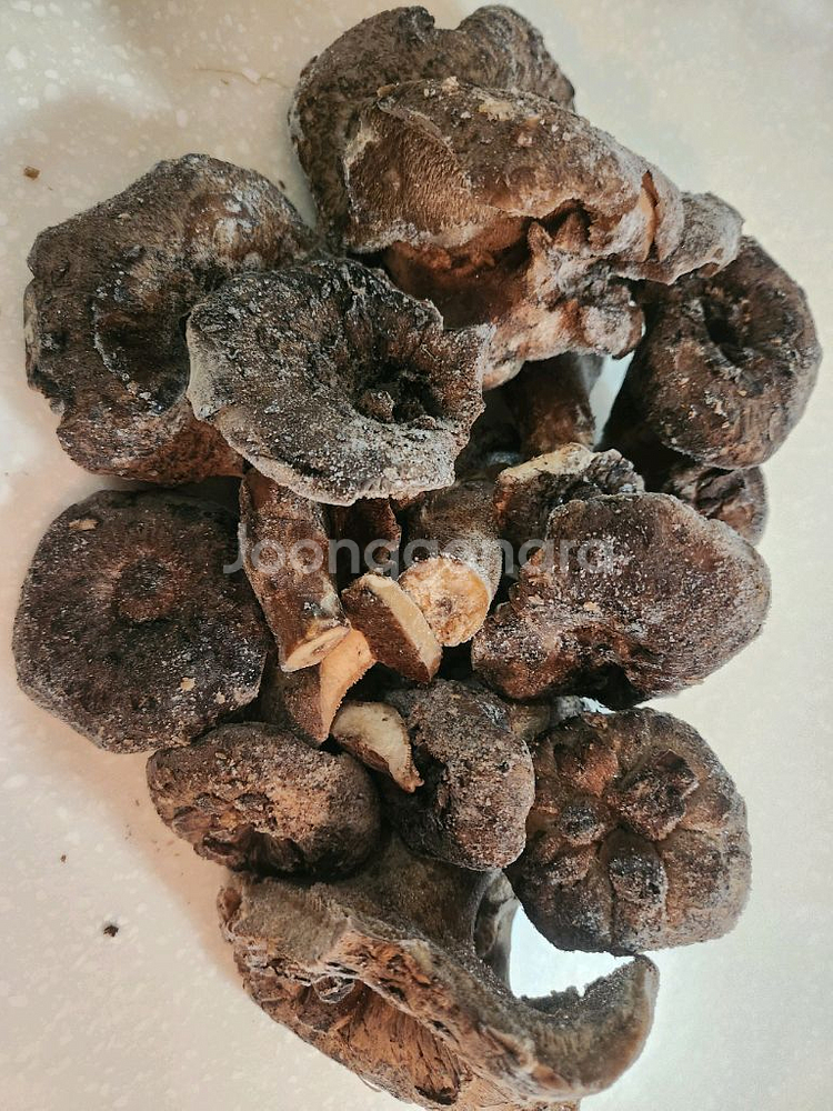 강원도 양양 가리왕산 야생 국산 냉동 능이버섯--3