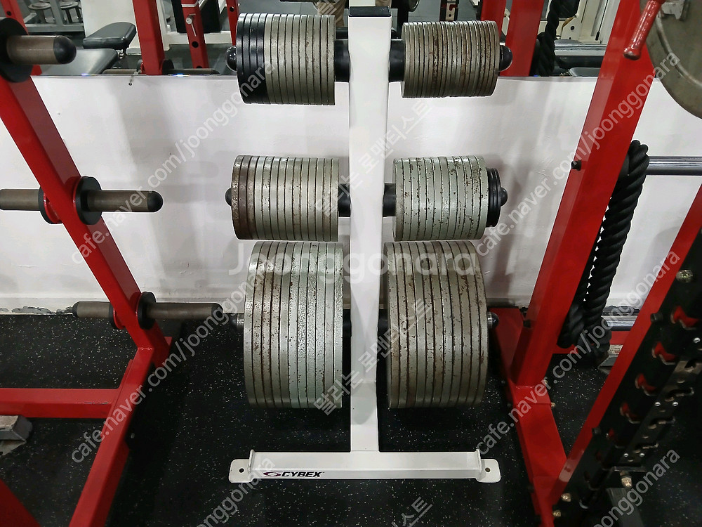 홈짐/ 중고헬스 운동기구 싸이벡스 원판정리대--0