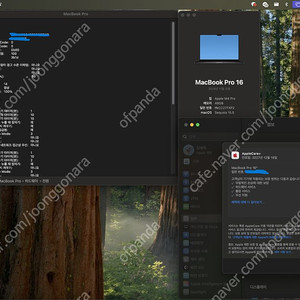 맥북프로16인치M4 pro CTO 48g 1TB 애케플