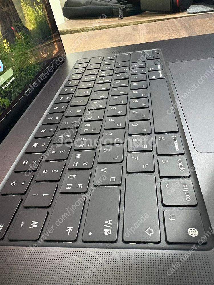 맥북프로16인치M4 pro CTO 48g 1TB 애케플--4