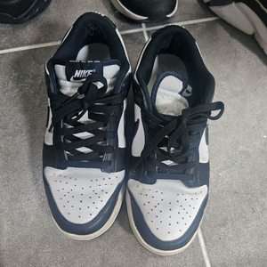 나이키 덩크로우 범고래 245