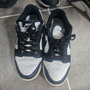 나이키 덩크로우 범고래 245