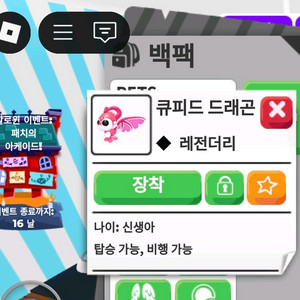 입양하세요 아이템 ㅍㅁ합니다