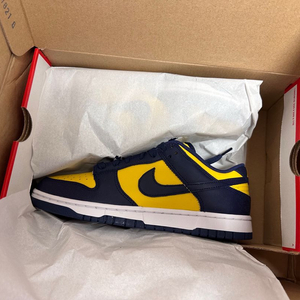 나이키 바시티 메이즈 260 미시착 DD1391-700