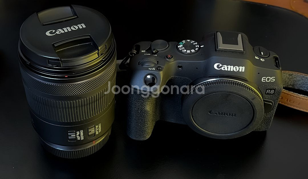 캐논 R8 + RF28-70mm F2.8 IS STM--1