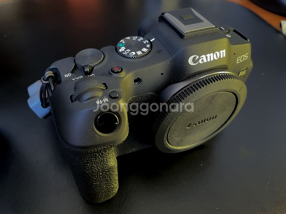 캐논 R8 + RF28-70mm F2.8 IS STM--4