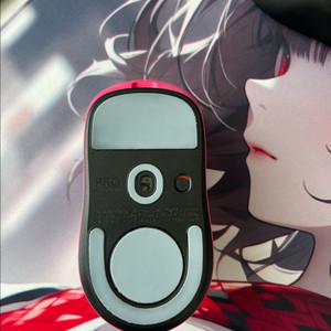 지슈라2