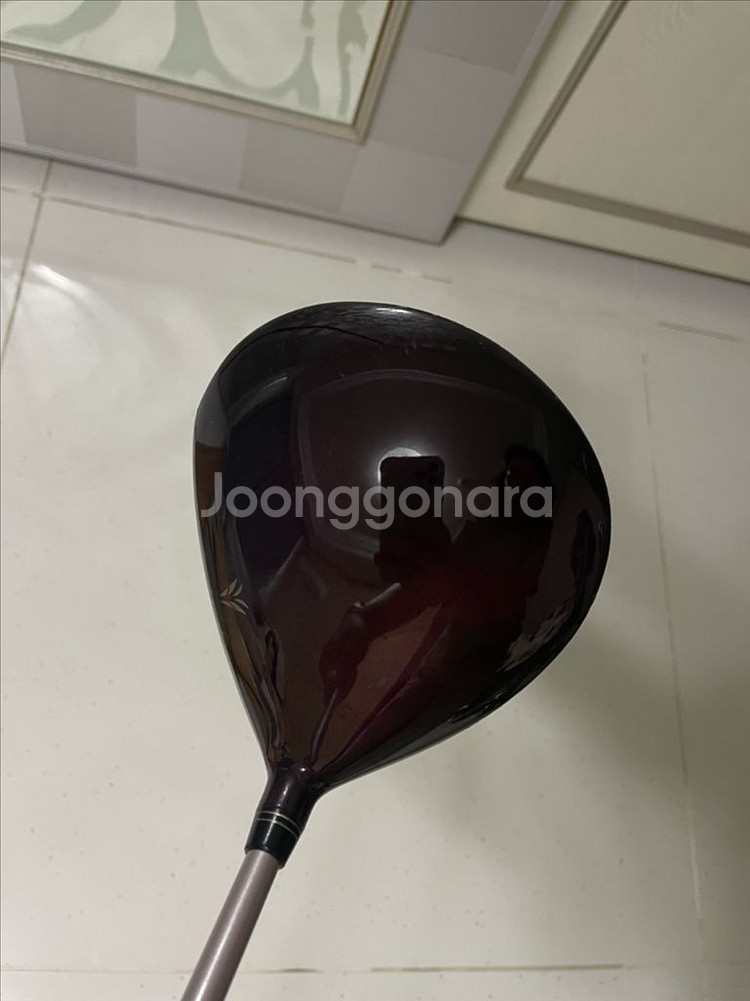 젝시오 여성드라이버--1