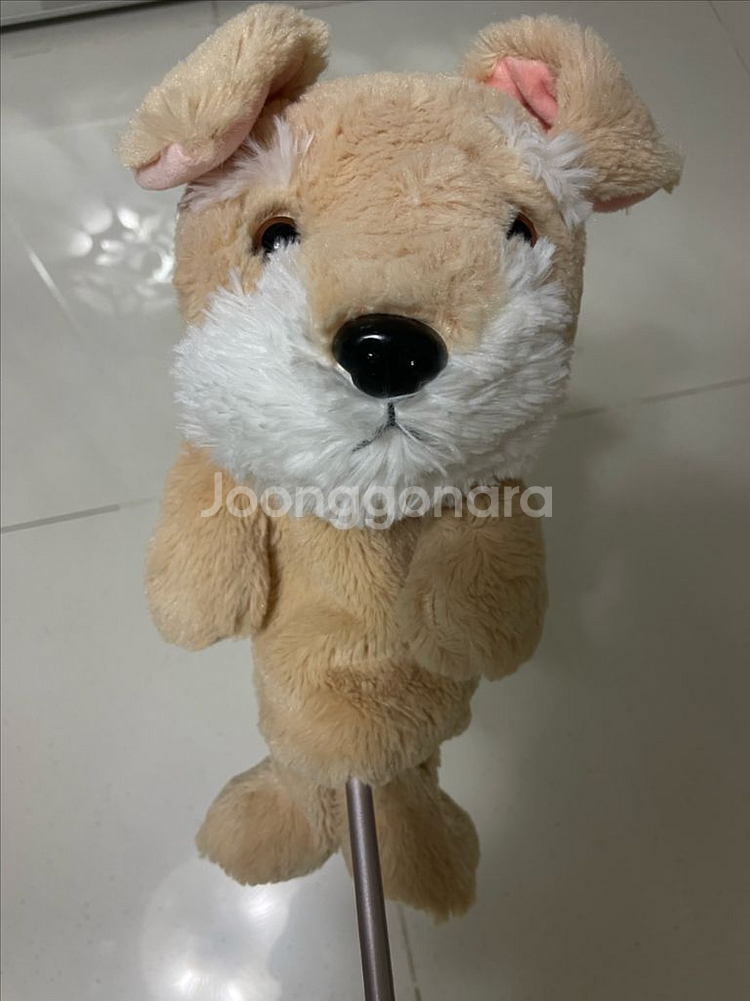 젝시오 여성드라이버--3