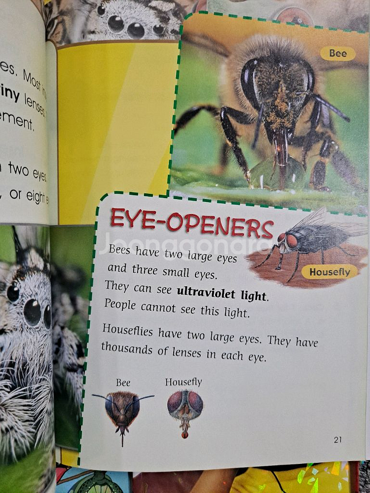 브레인뱅크 G2 science 24종--2