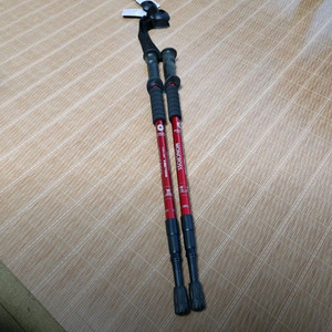 등산스틱