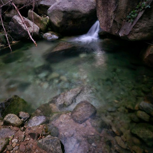 산쿄 72노트 오르골 삽니다