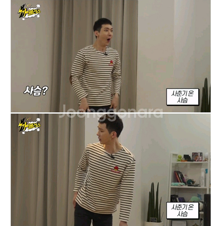 아이스비스킷 패치 포인트 스트라이프 티셔츠 155--3