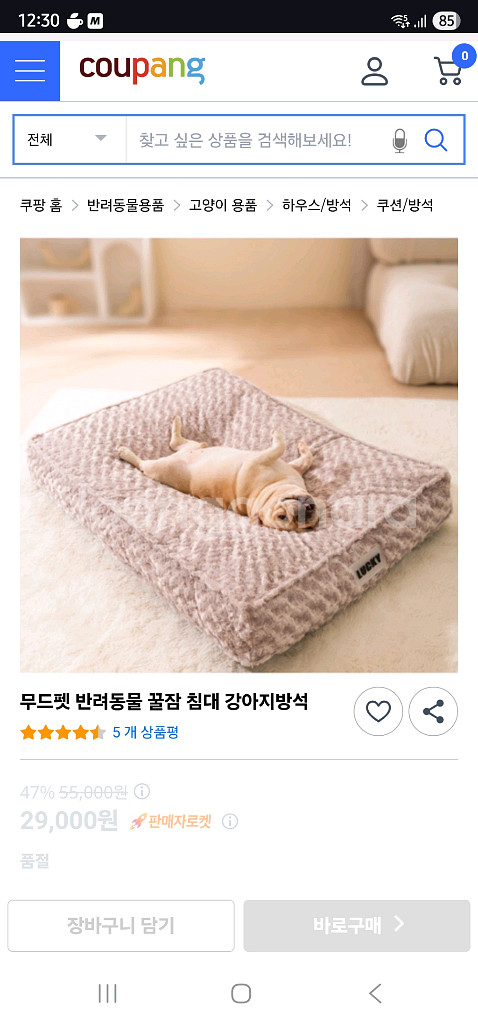 극세사 강아지방석 강아지쿠션 강아지집 강아지용품--0