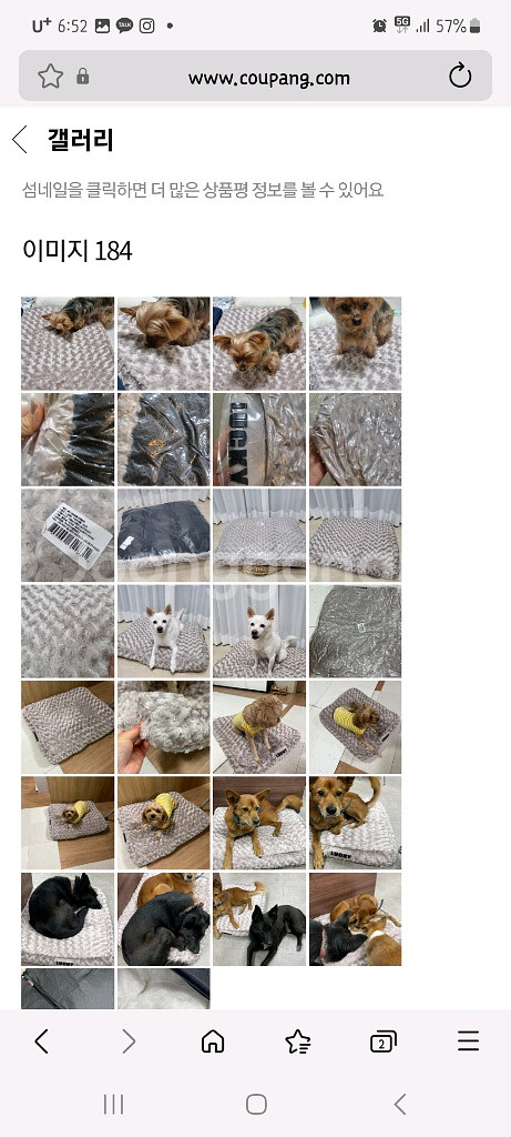 극세사 강아지방석 강아지쿠션 강아지집 강아지용품--1