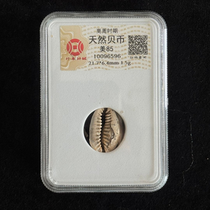 [골동품/화폐] 고대 상주시대 천연 패화 그레이딩