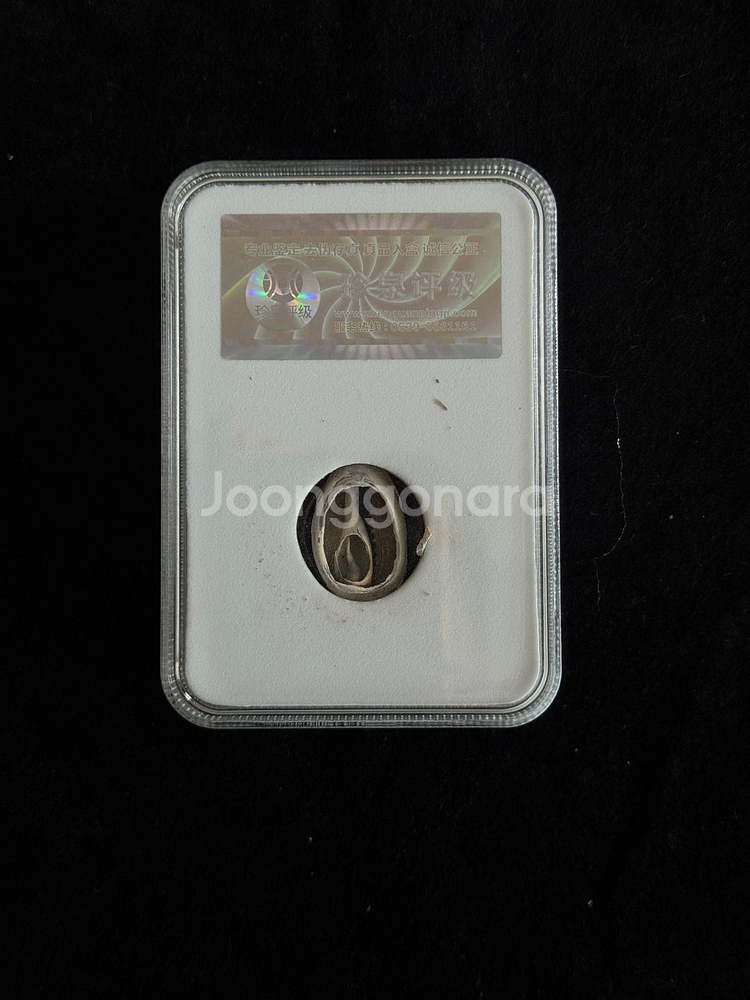 [골동품/화폐] 고대 상주시대 천연 패화 그레이딩--2