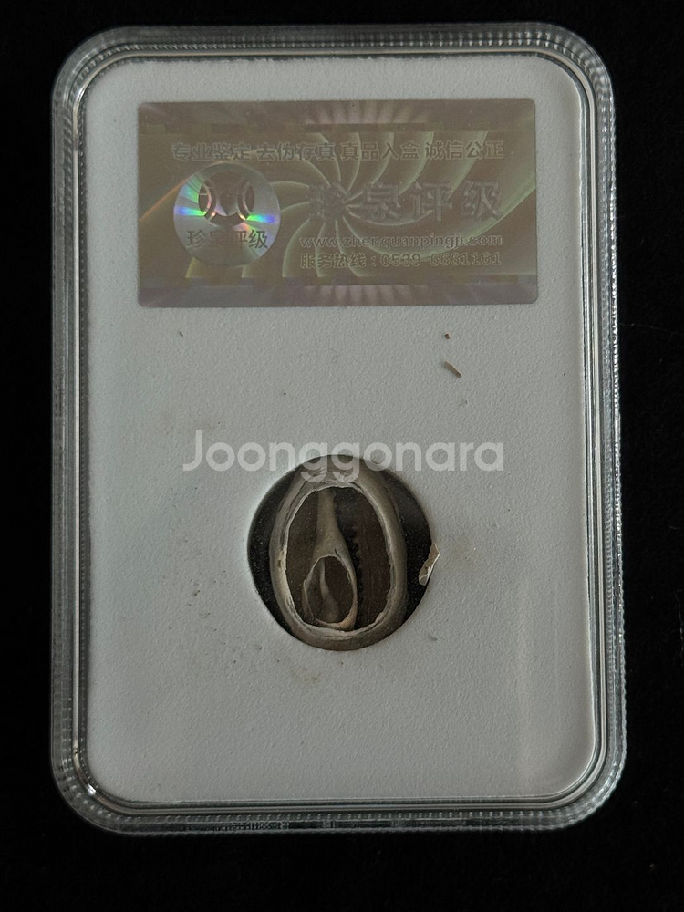 [골동품/화폐] 고대 상주시대 천연 패화 그레이딩--5