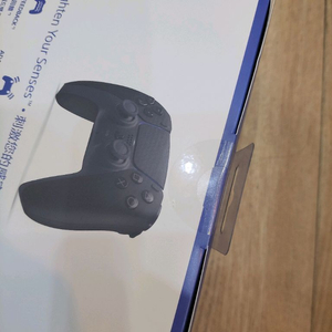 듀얼센스 블랙