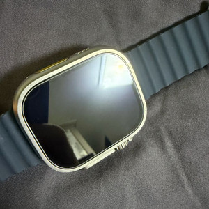 애플워치 울트라 1세대 49mm 86%