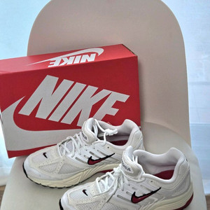 나이키페가수스운동화