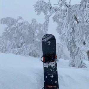 24-25 크루자 로커스트 154 스노우보드 데크