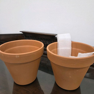 이테리토분