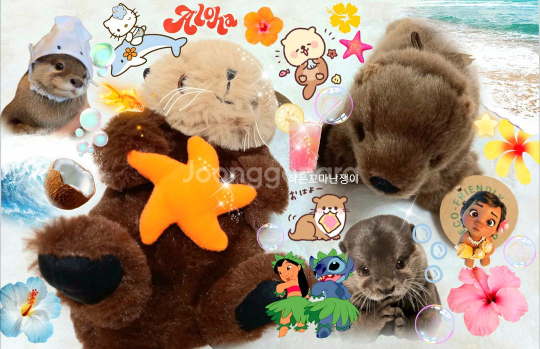 +.* 몽글한 마린 : 아기 수달 아기 물개 희귀 인형--0