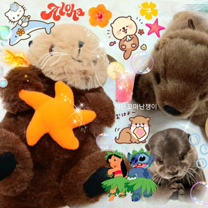+.* 몽글한 마린 : 아기 수달 아기 물개 희귀 인형