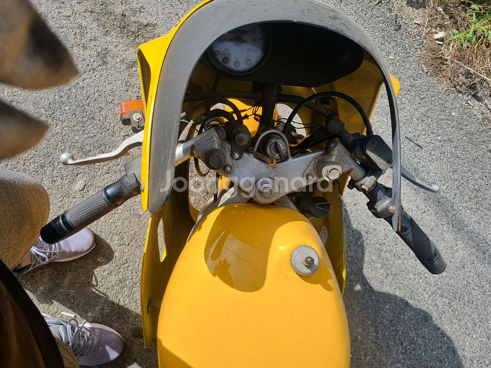 소장용 야마하 YSR80--3