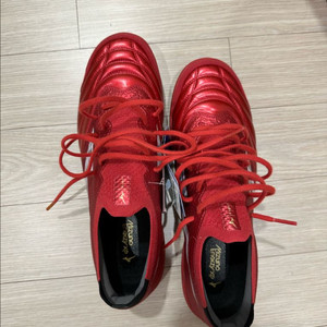 미즈노 모렐리아 살라 베타 재팬 TF 260