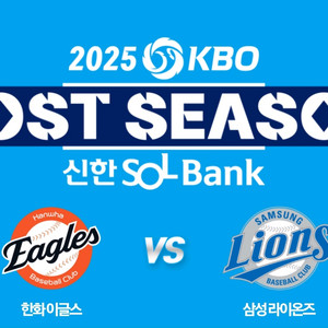 10/20 삼성 한화 플레이오프 3차전 3루 스카이상단