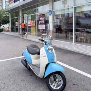혼다스쿠피 50cc