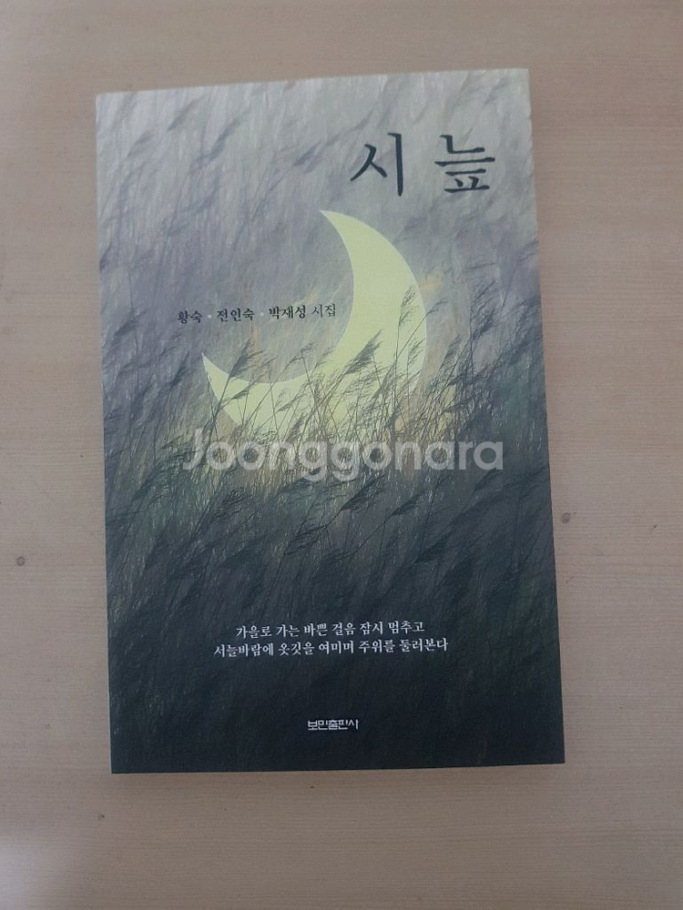 시 늪(황숙,전인숙,박재성 시집)--0