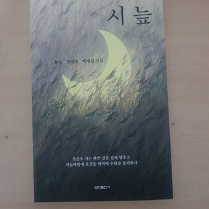시 늪(황숙,전인숙,박재성 시집)