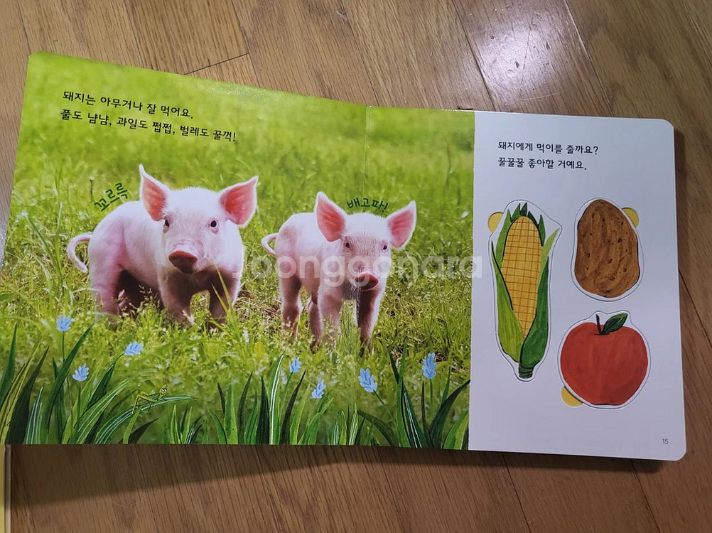 그레이트북스 놀라운자연 개정판--9