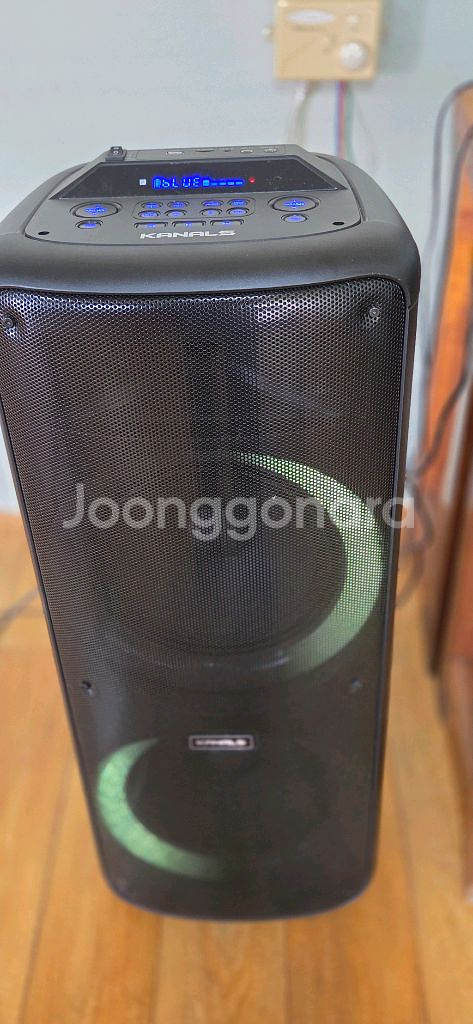 카날스 앰프스피커--0