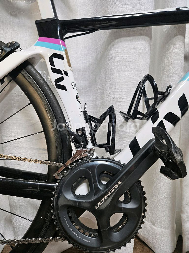 자이언트 리브 엔비--2