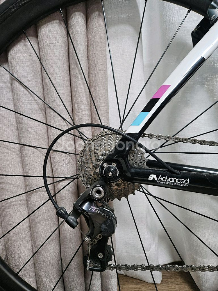 자이언트 리브 엔비--1