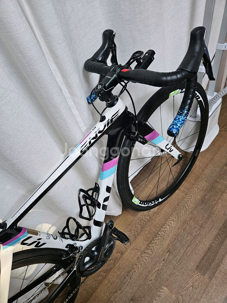 자이언트 리브 엔비--4